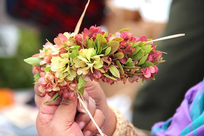 hands holding a lei wili made of green and pink leaves and flowers