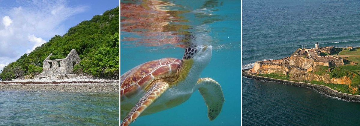Virgin Islands National Park, Sea turtle in water, and Castillo de San Felipe