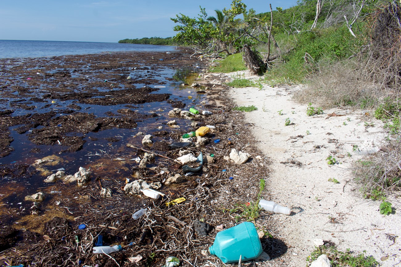 marine debris, mostly plastics, litters the shoreline of a tropical beach