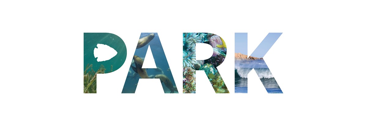 The word Park is spelled with ocean images overlayed on letters. The word Park is spelled with ocean images overlayed on letters.