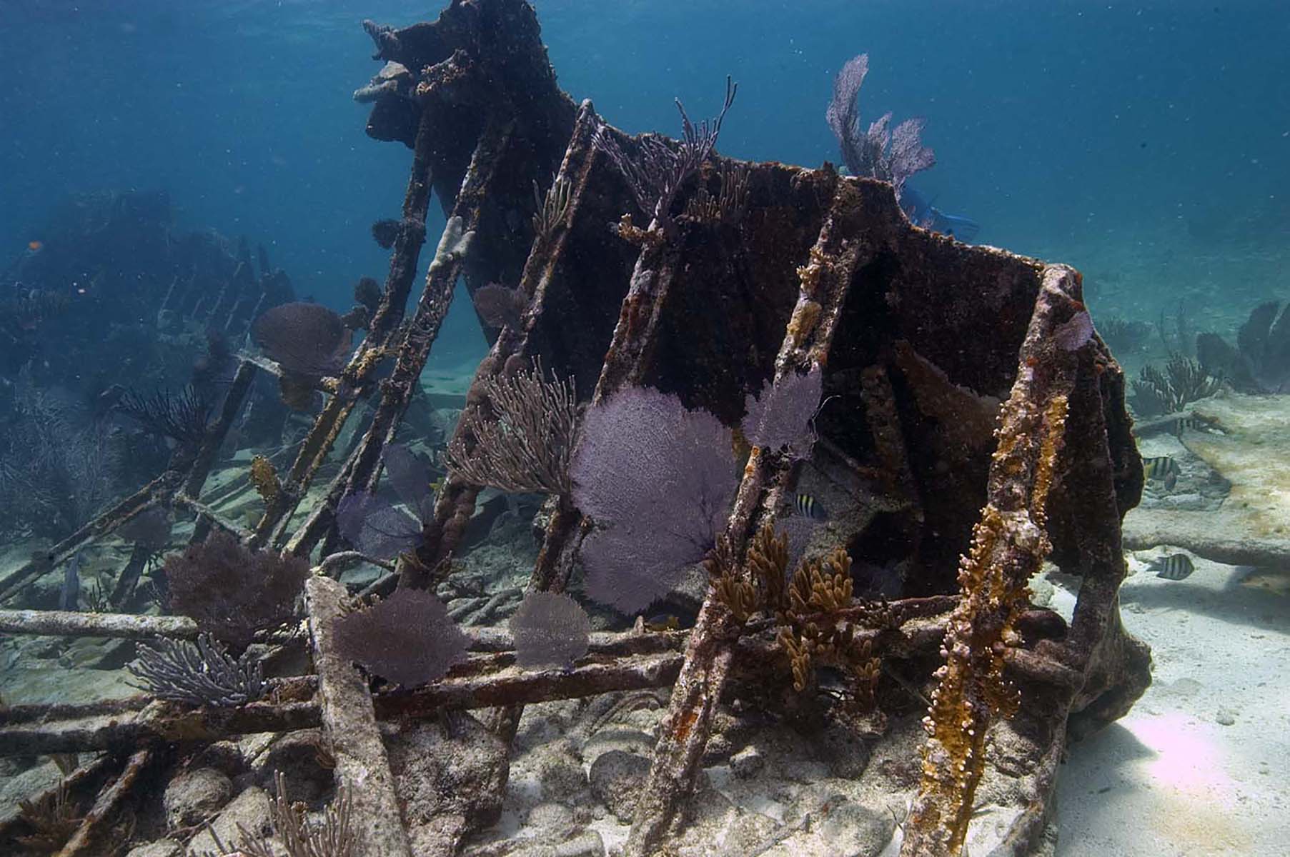 Discover Famous Caribbean Shipwrecks