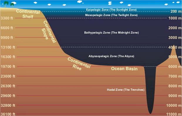 four major ocean zones