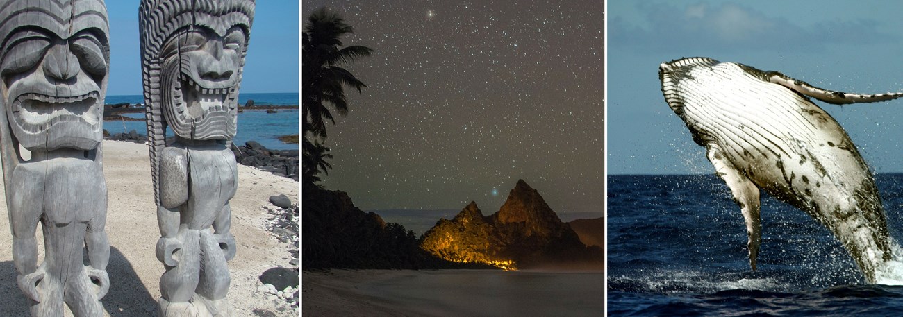 Totem poles, nightsky at National Park of American Samoa, and a whale jumping out of water in Guam