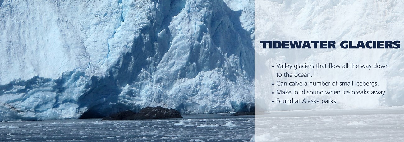 A tidewater glacier with text over reading, Valley glaciers that flow all the way down to the ocean. Can calve a number of small icebergs. Make loud sound when ice breaks away. Found at Alaska parks.