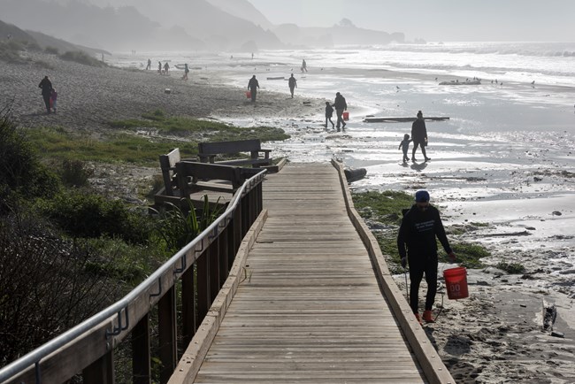 volunteers spread out along the shoreline with orange buckets as they clean up the beach