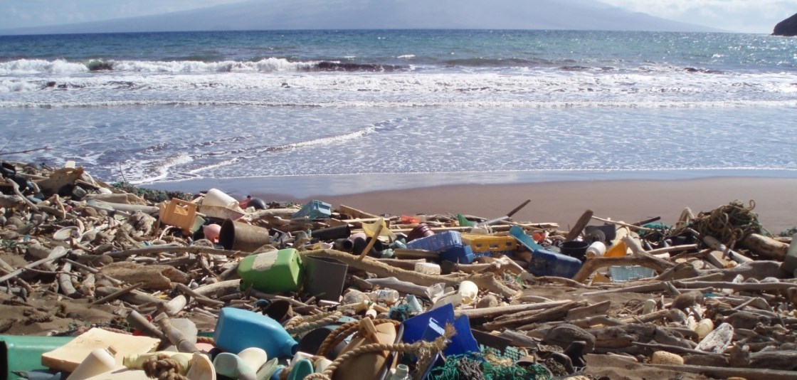 Marine debris on the Hawaii coast