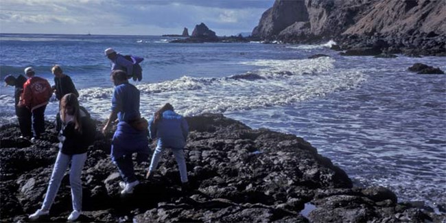 Visitors at tidepool.