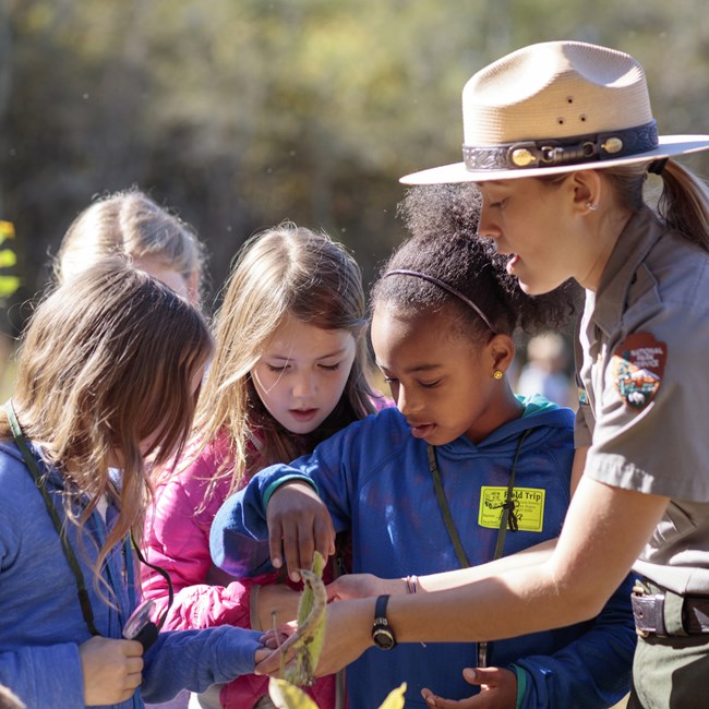 A group of middle school students on a field trip looks closely at something a park ranger is showing them.