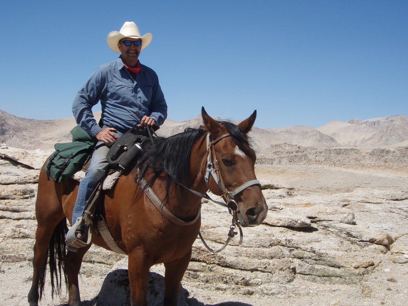 JD Swed JD Swed on Horseback