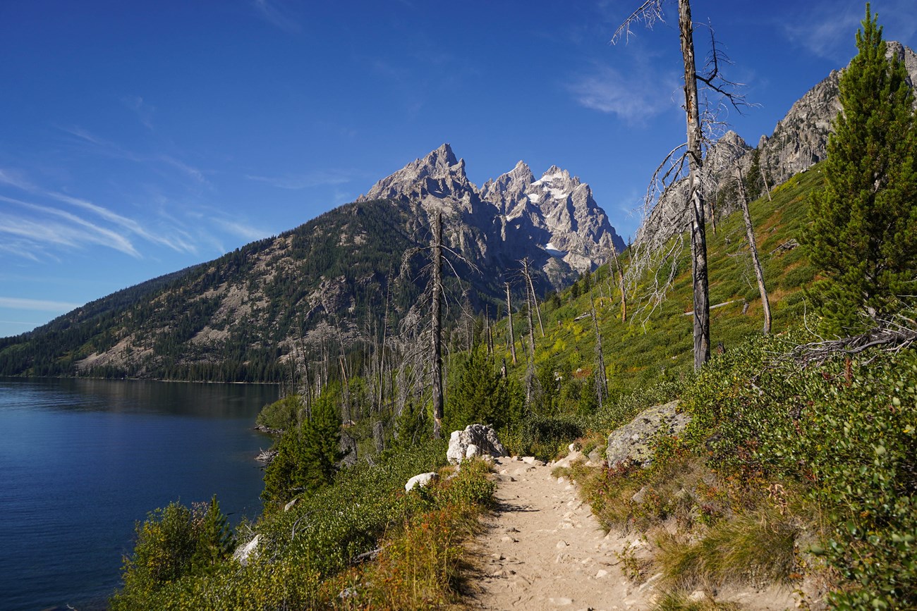 Low vegetation, rocks, and bare tree trunks line a narrow trail on a slope, with a large lake and rugged mountains in the background