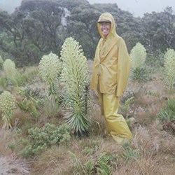 Patti Welton with blooming greenswords in Kīpahulu Valley