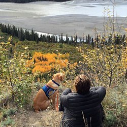 A woman seated on the ground beside a service dog overlooking a river in Alaska