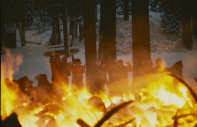 A group of people seen through the flames of a campfire at night, with wintery woods beyond