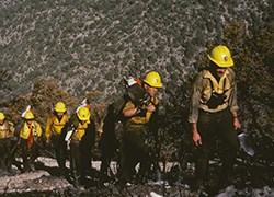 A line of hotshots with yellow hardhats and tools ascend a trail through brush