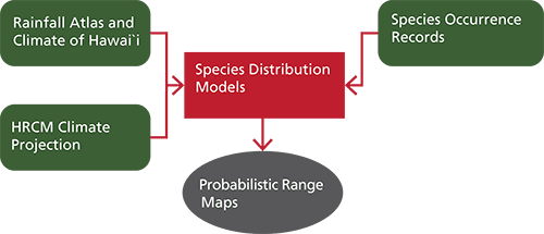 See caption for information about the flow chart