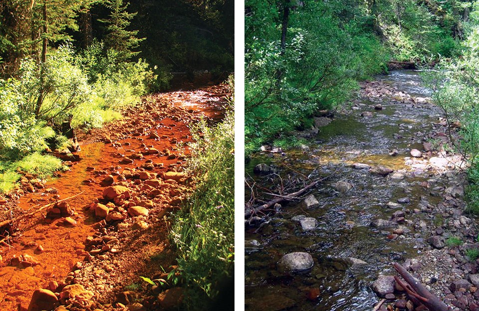 See caption for information on the photo comparisons