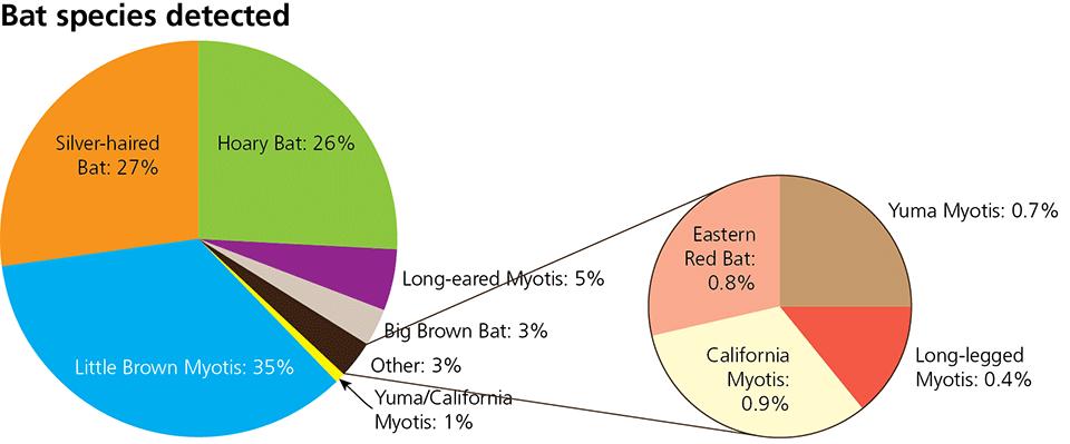 Pie chart showing bat species detected by percentage. Data available in linked table.