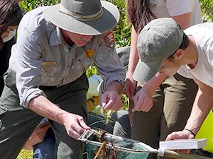 A group of young people look at the contents of a net held by a man in an MPS uniform. they stand next to water surrounded by green plants.