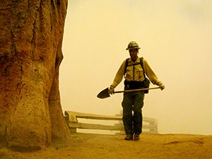 Firefighter holding a shovel walks through smoke next to a giant sequoia.
