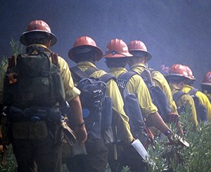 Firefighters on the fire line. Image credit: NPS Several men walking in line with backs turned to camera, wearing yellow shirts and red hardhats
