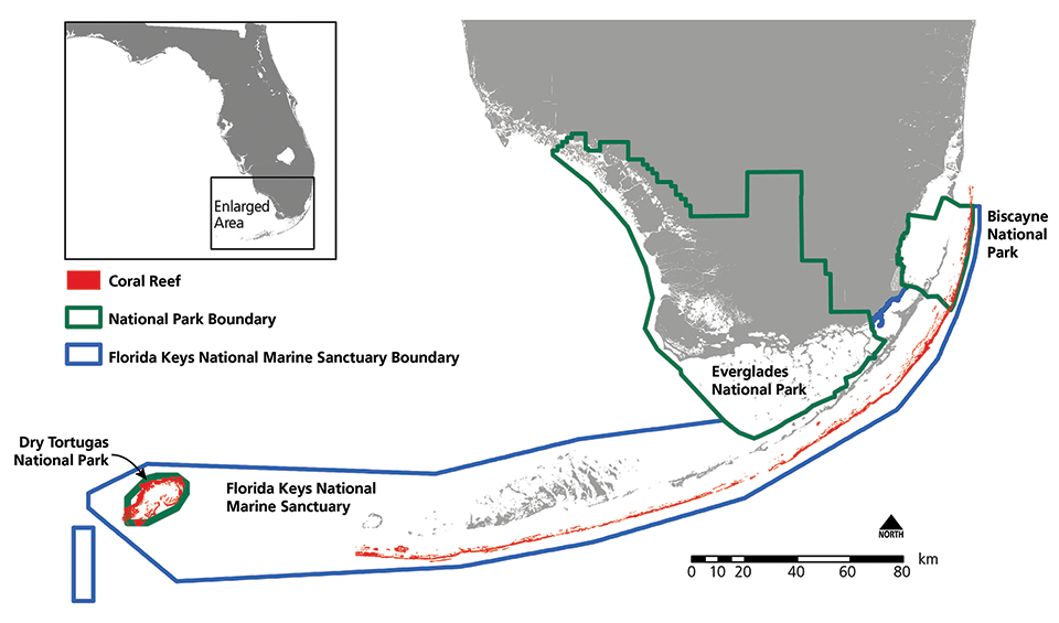 Map of southern Florida showing the locations of Dry Tortugas, Everglades, and Biscayne National Parks, the Florida Keys National Marine Sanctuary, and the location of coral reefs within these designated protected areas.