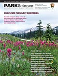 Cover of Park Science 33(1)—Winter 2016–2017. Park Science is a journal of the U.S. National Park Service dedicated to integrating research and resource management in the U.S. national parks