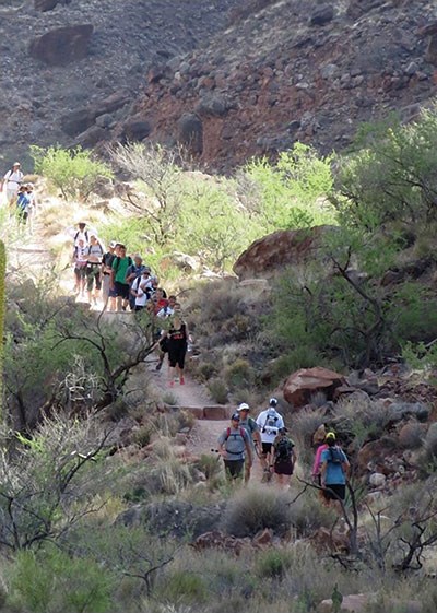 A string of hikers traverses a trail segment in the popular Grand Canyon corridor.
