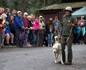 Ranger with sled dog, Denali National Park and Preserve. Image credit: NPS / Claire Abendroth A female ranger in park service uniform holding a white dog on a leash and speaks to a crowd of people. Behind them is forest and a building with a moss-covered roof.