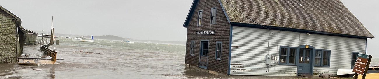 Blue Duck Ships Store in flood waters A small wooden building covered in shingles is affected by storm tides. The water completely encroaches on the base, and reaches up the road.
