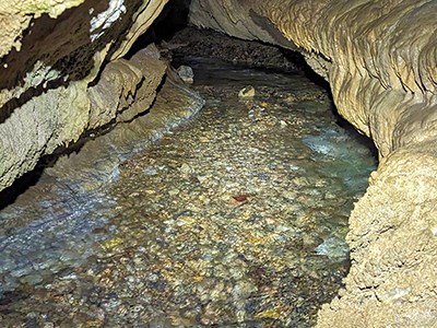 Secrets of the River Styx Cave passage lined with cave formations follows the River Styx as it bends out of sight.