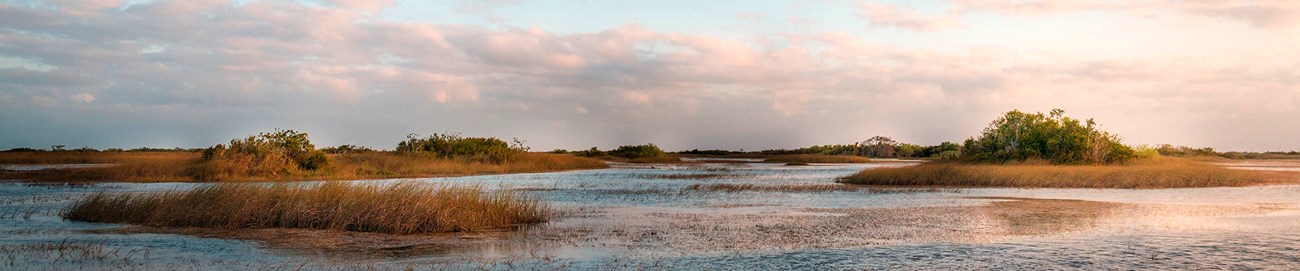 Shark River Slough in Everglades National Park. Tree islands protrude from shallow waters reflecting blue skies.