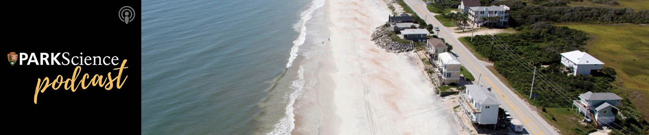 Cover image for Swept Away, a Park Science magazine podcast Swept Away podcast cover: square, black, Park Science Podcast graphic with gold lettering next to an aerial view of a beach with houses not far from the ocean