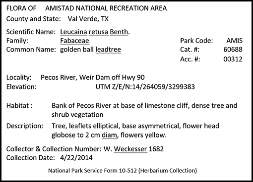 Weckesser_2_Herbarium_Label_Modified See caption