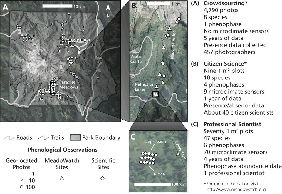 Map of Mount Rainier National Park showing where wildflower phenologcal data were collected for the 2009 to 2013 study that compared crowdsourcing, citizen science, and professional scientist methods.