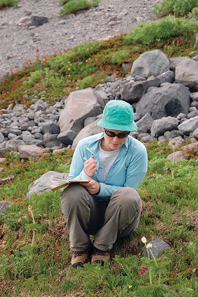 Graduate student Elli Theobald gathers phenological data on a weekly basis at Mount Rainier National Park during the summer months.