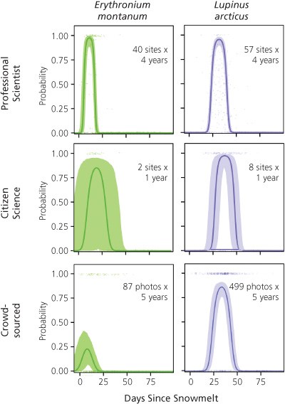 Six curves relating probability of flowering to the number of days since snow melt for each of two species as observed by three methods: professional scientist, citizen science, and crowd-sourced photos. Further explanation in caption.