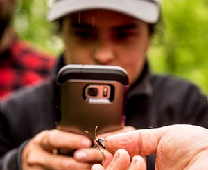Cell phone user during a bioblitz at First State National Historical Park. Image Credit: Nature Conservancy World Office / Devan King A young woman in baseball cap and black jacket takes a photo of an insect with her cell phone. A hand holds the insect in front of her.