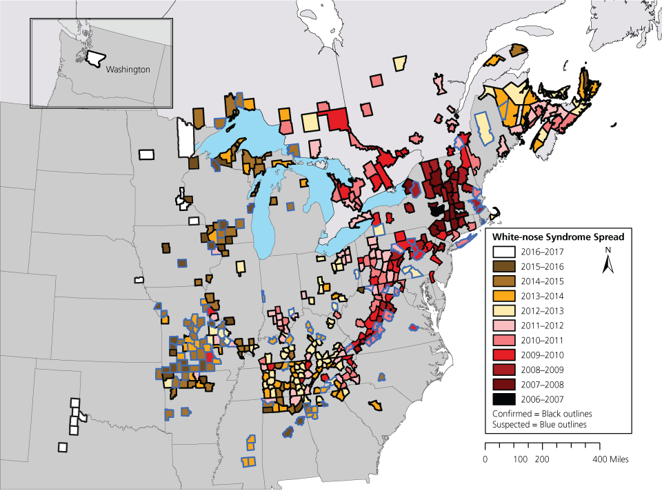 Map of the eastern United States and the state of Washington showing the distribution of white-nose syndrome by county and year, and whether confirmed (black outlines) or suspected (blue outlines).