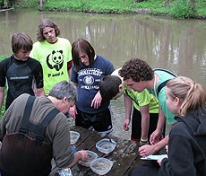 BioBlitz participants identifying aquatic species along a rivers edge.