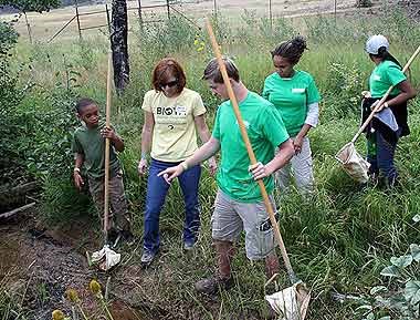 BioBlitz participants are searching through a meadow for macro-invertebrates in Rocky Mountain National Park.