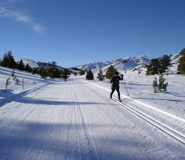 skiers along a groomed snow-covered trail with blue sky and mountains in the background