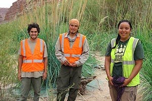 Young adults working through a Youth program take a break from removing invasive plant species