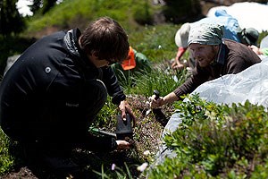 Student volunteers plant vegetation along a hiking trail