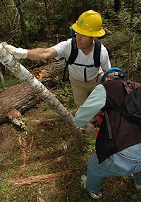 lt= Two Conservation Crew members clear bent trees and logs from the Wonder Land Trail.