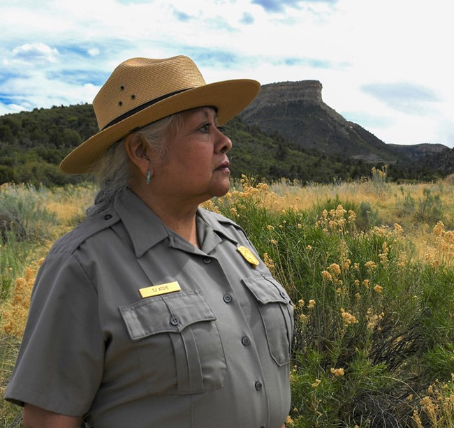 A park ranger stands on a landscape of green and yellow vegetation with low rock outcroppings in the background.