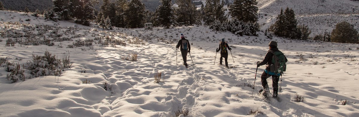 Skiers Three cross-country skiers in a snow-covered field