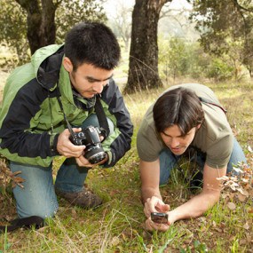 lt= iNaturalist APP Developers demonstrate how to capture plant observations using the iNaturalist APP.