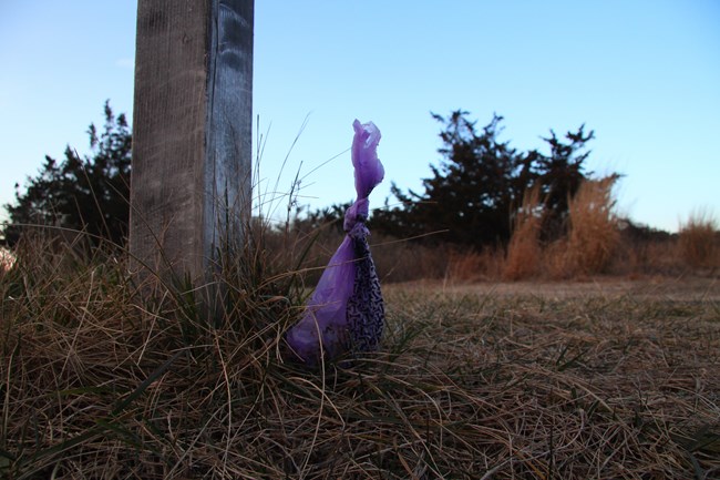 a used pet waste bag at the base of a post outside