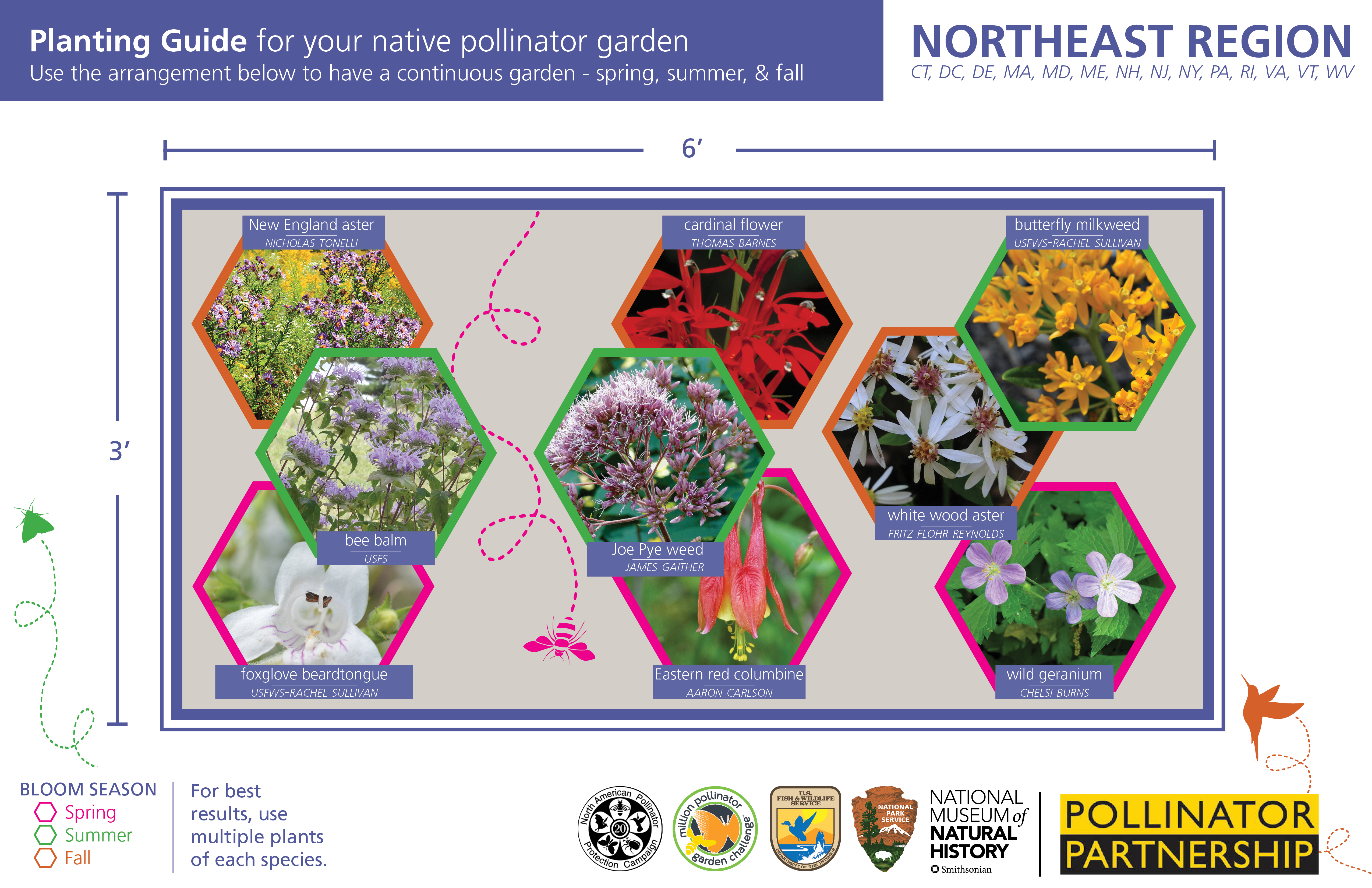 An ecoregional native pollinator garden card for the northeast region