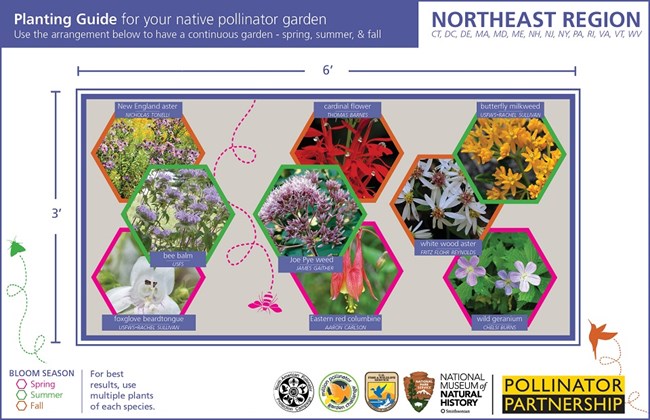 pollinator garden cards_northeast region_for web
